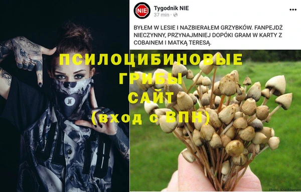 кокаин перу Елабуга
