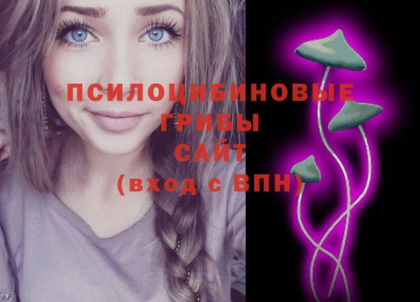 spice Армянск