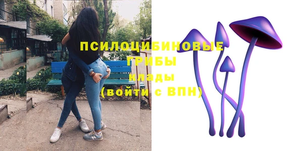 mix Арсеньев